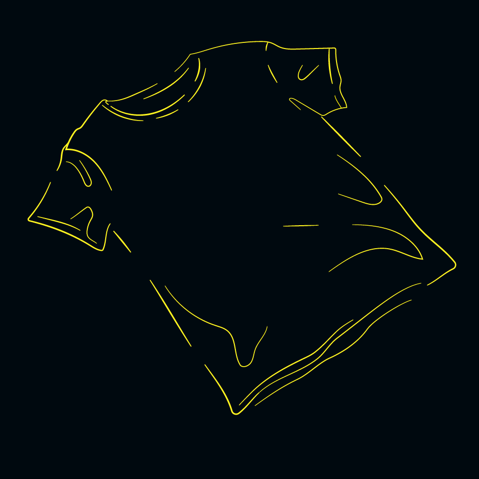 ISH crew t-shirt